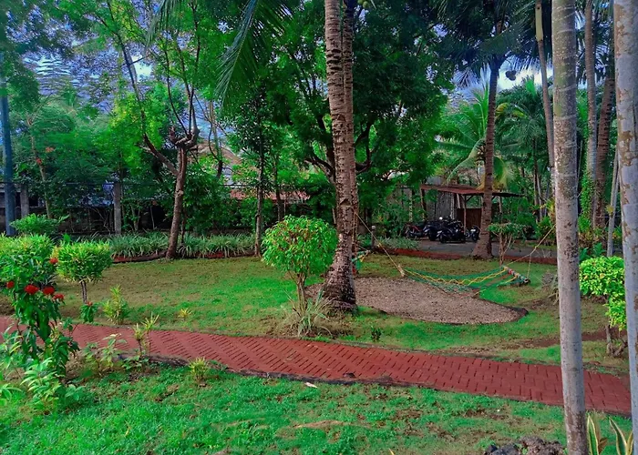 Coco Grove Nature