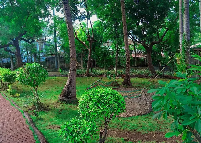Resort Coco Grove Nature Himensulan