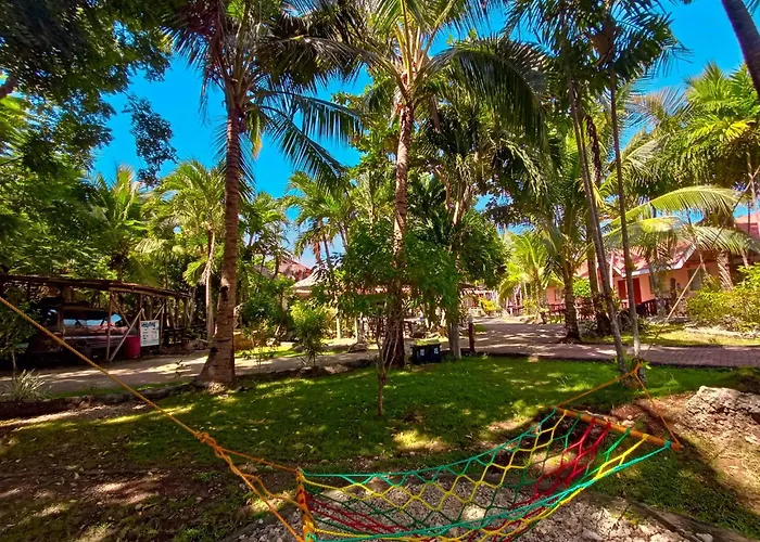 Resort Coco Grove Nature Himensulan